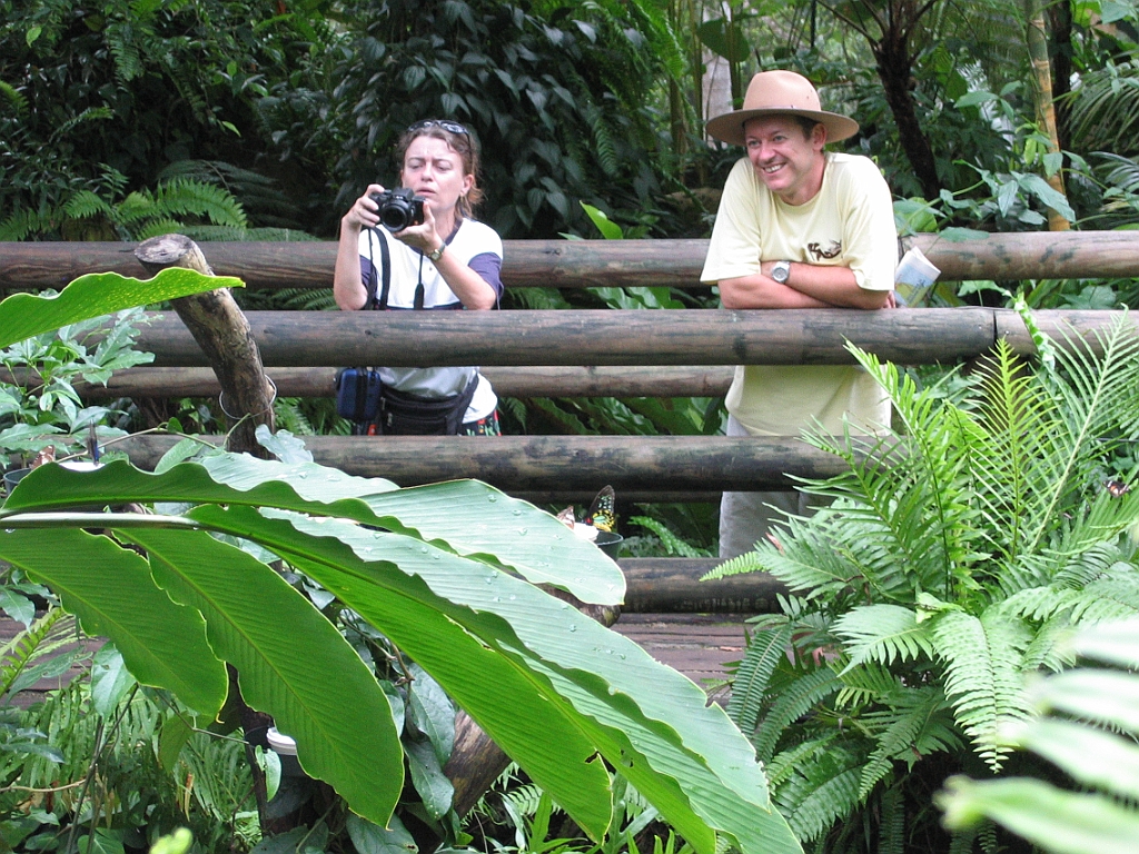 060 Kuranda Butterfly Sanctuary.jpg